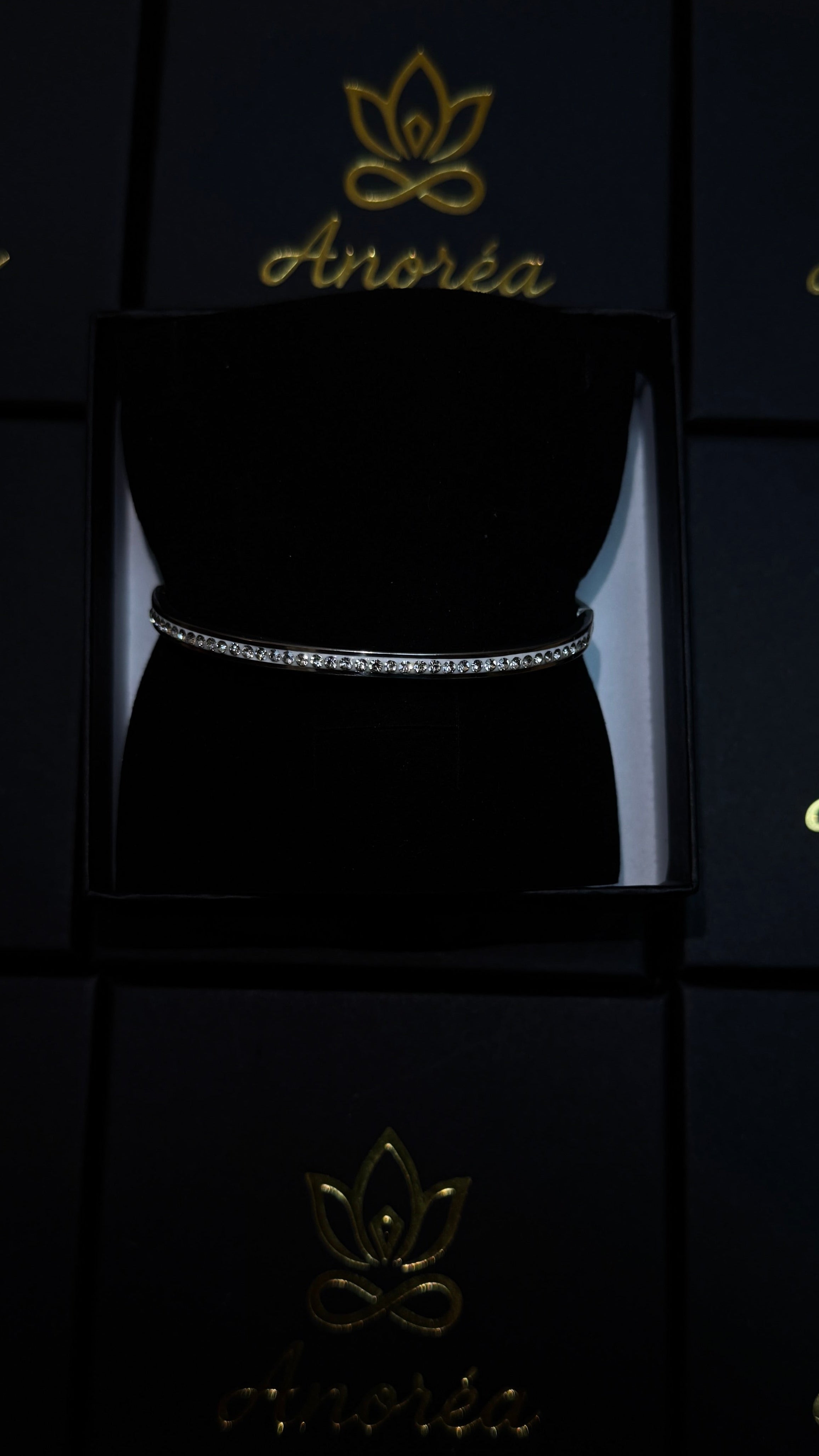 Anoréa B575G Crystal Bangle – Silver