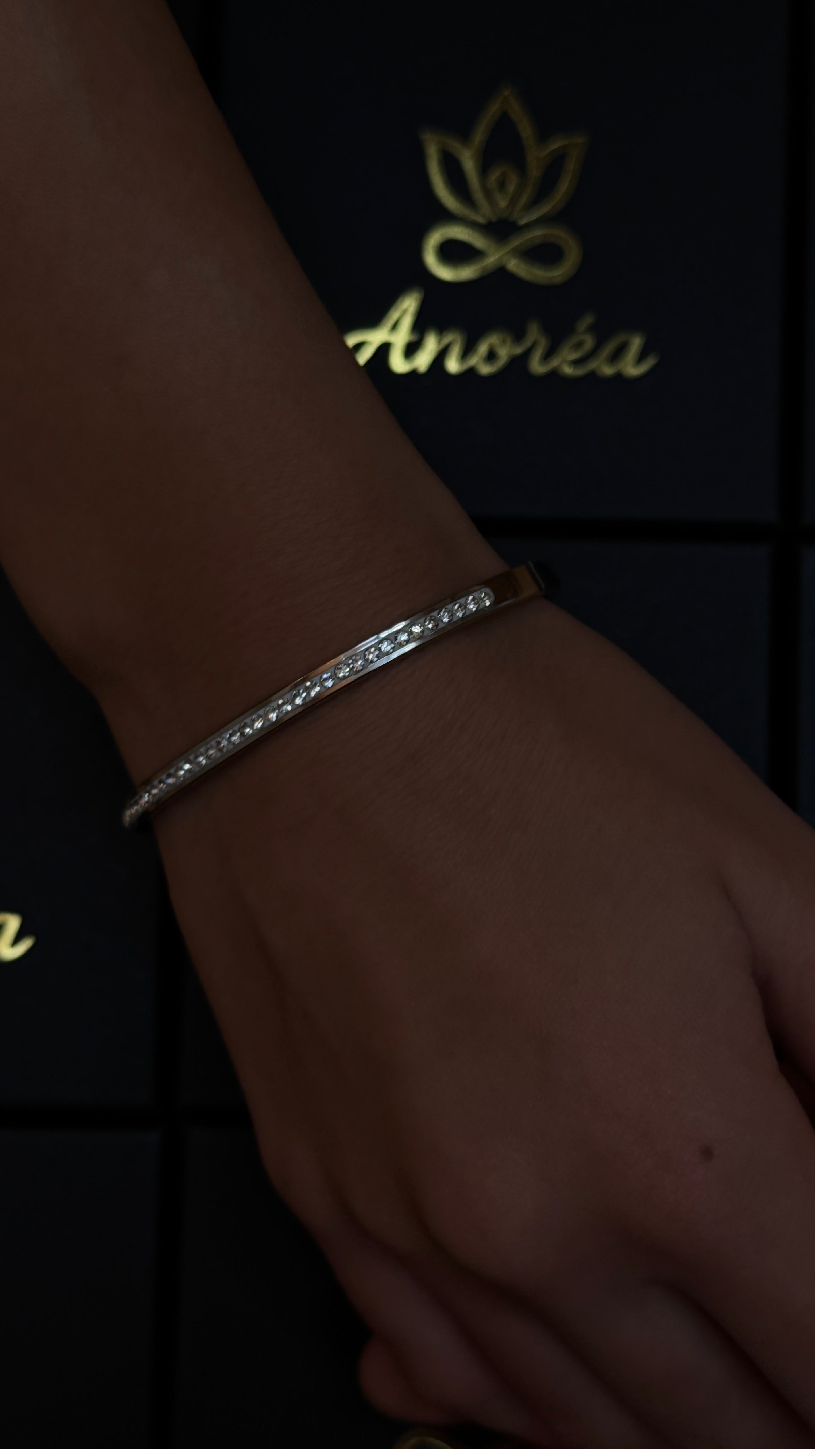 Anoréa B575G Crystal Bangle – Silver
