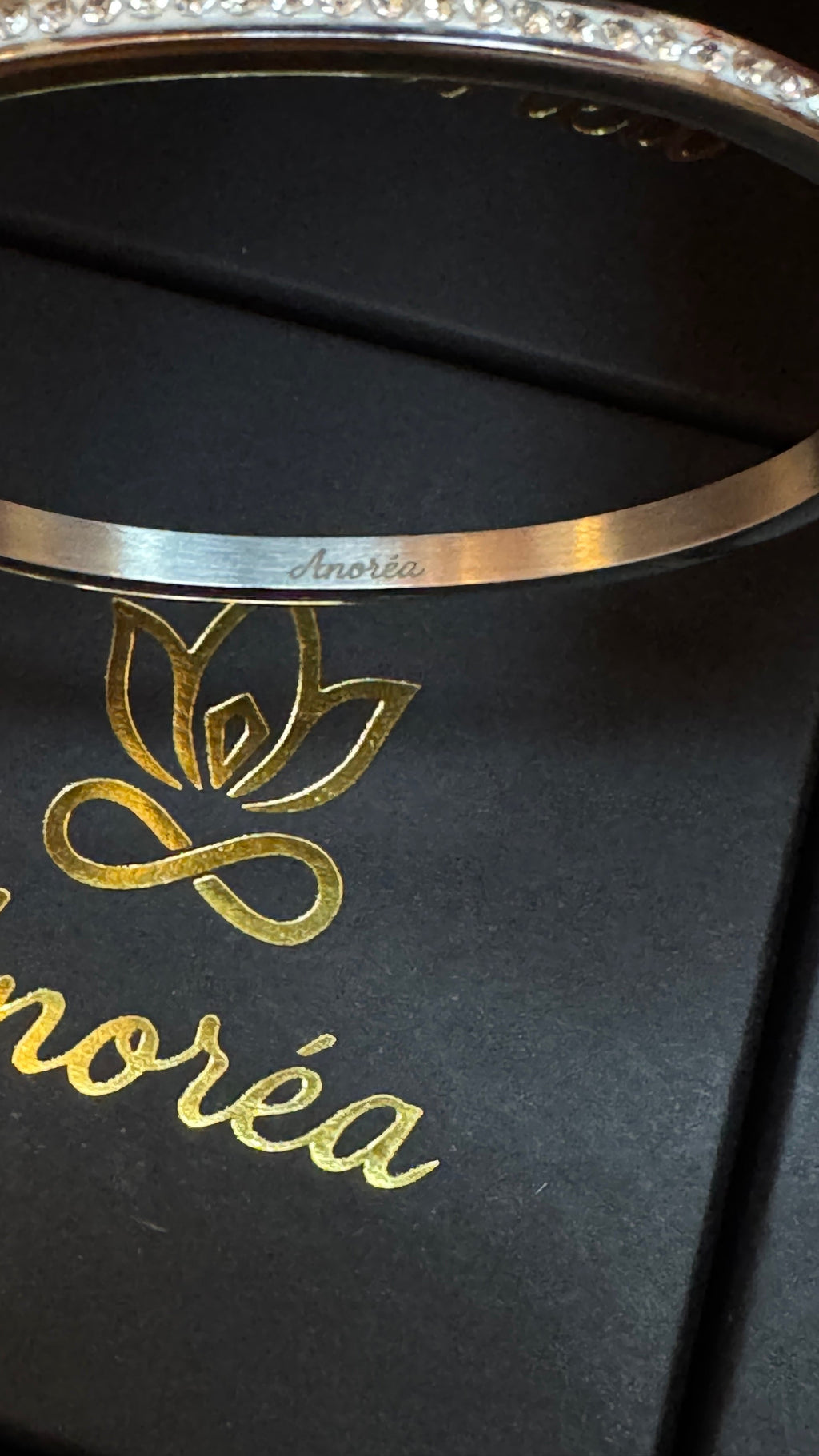 Anoréa B575G Crystal Bangle – Silver